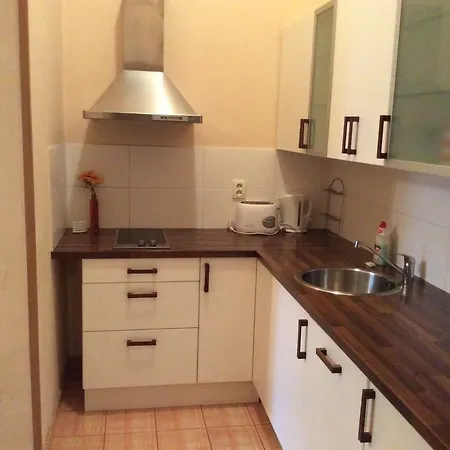 Apartamento Studio On Wenzigova Praga