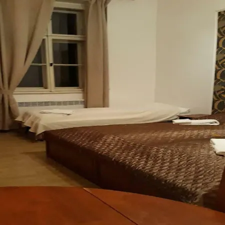 Studio On Wenzigova Appartement